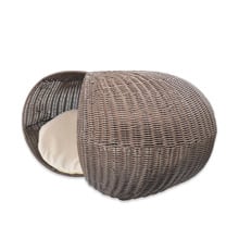 Toro Snail Cat Igloo